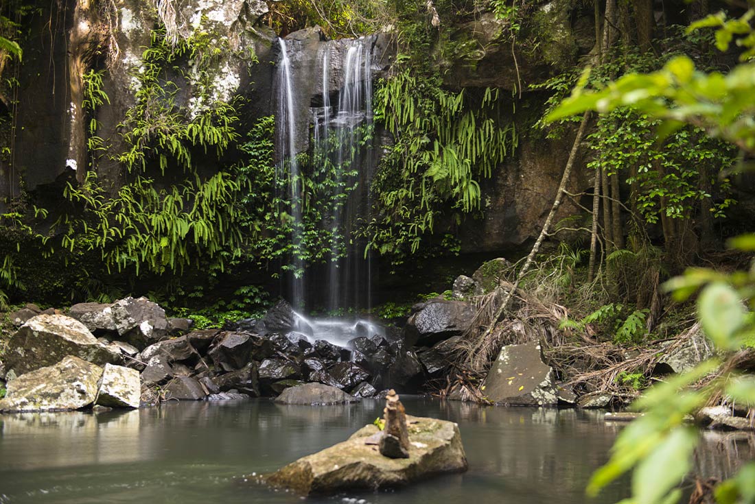 Serene view of Curtis Falls, Tambourine NP, Australia