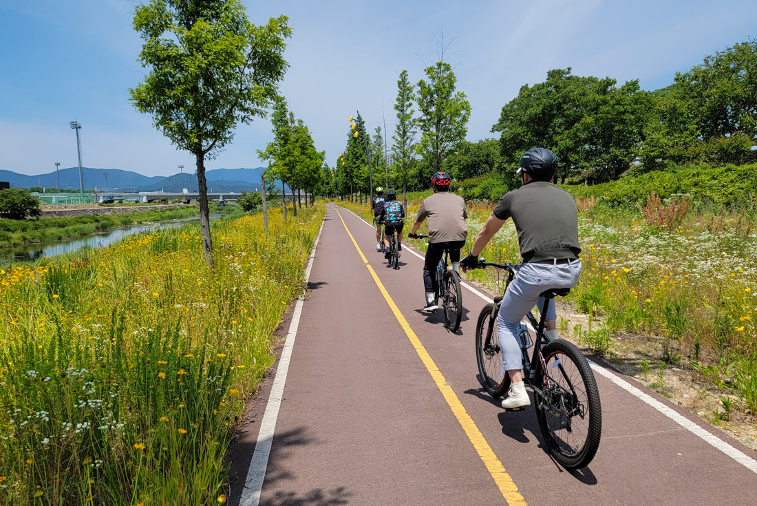 Travellers in more casual clothes cycle along the path of the 4 Rivers Cycling Track in South Korea