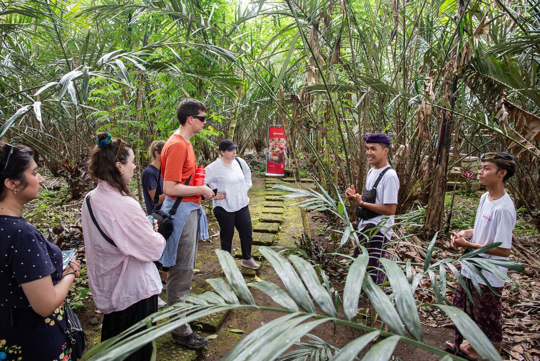 Local guide speaking with travellers at a Salak plantation in the jungles of Sibetan Village, Bali, Indonesia
