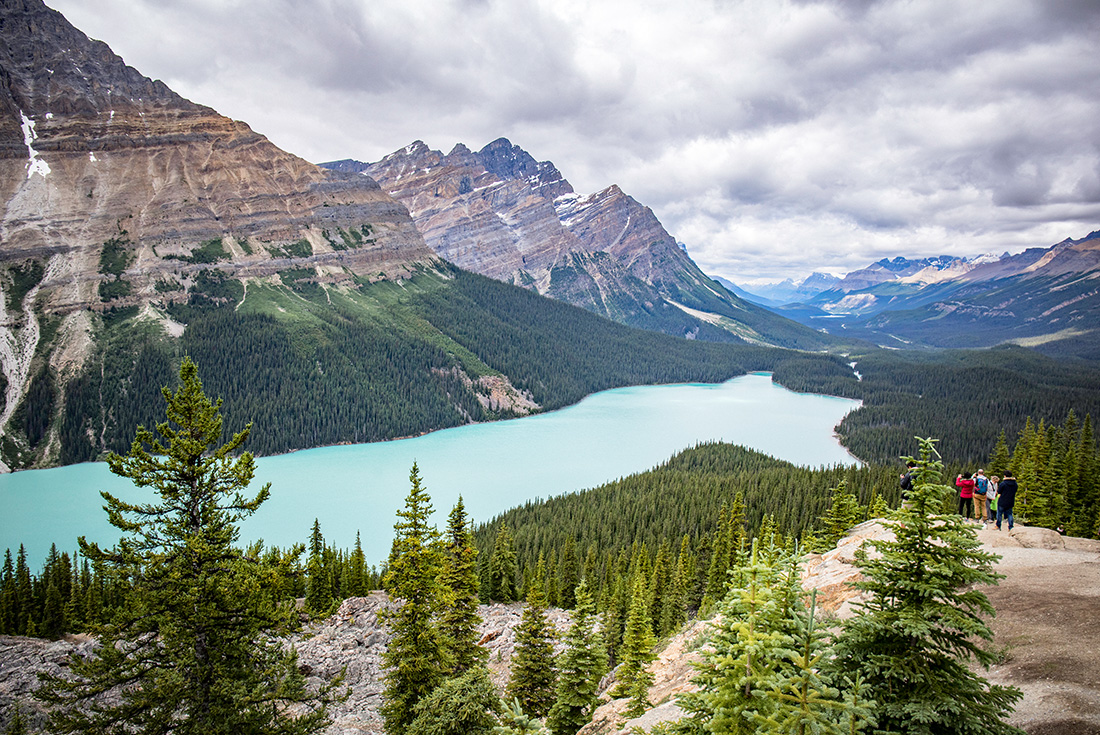 Lake Peyto, Banff, Canada