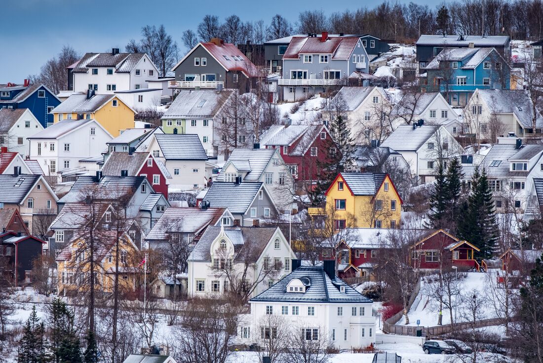 Narvik buildings surrounded by bare trees in winter with snow and colourful paint jobs
