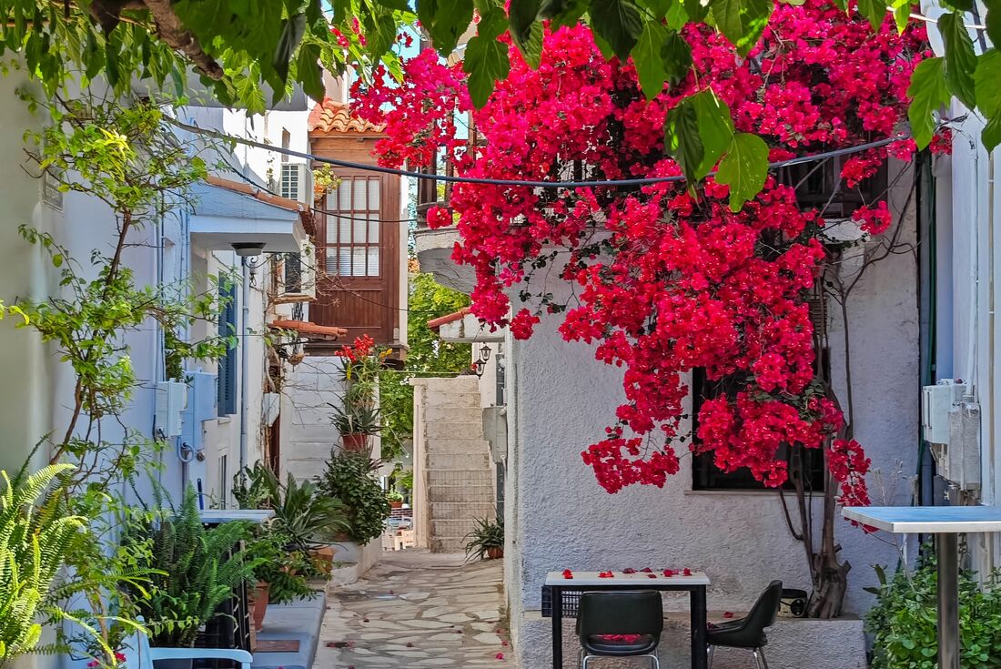 Charming streets of Skiathos in the Sporades with bougainvillea and neighborhood seating