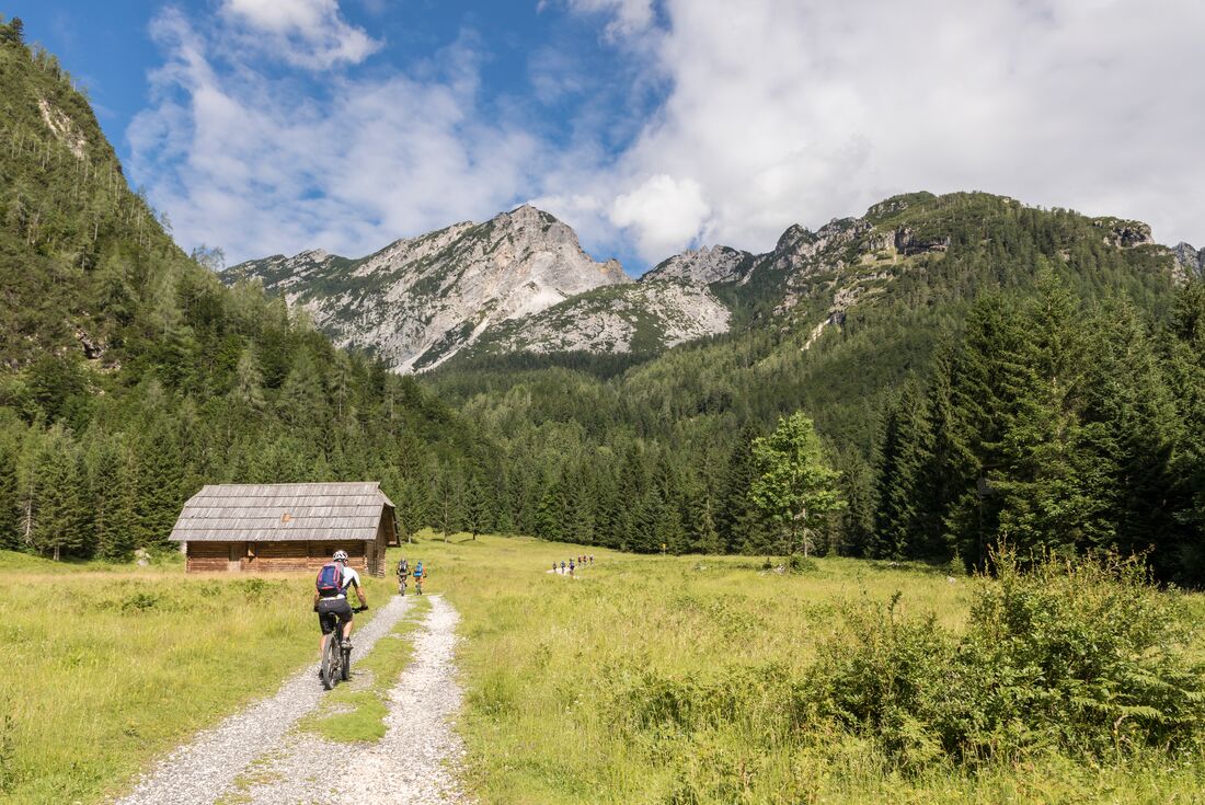 Stream of Intrepid travellers cycling from Kranjska Gora into the Slovenian alps