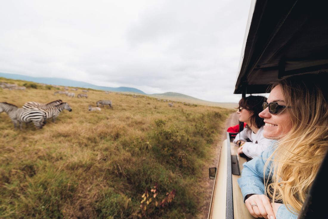 Looking out over a zebra herd in Ngorongoro Crater