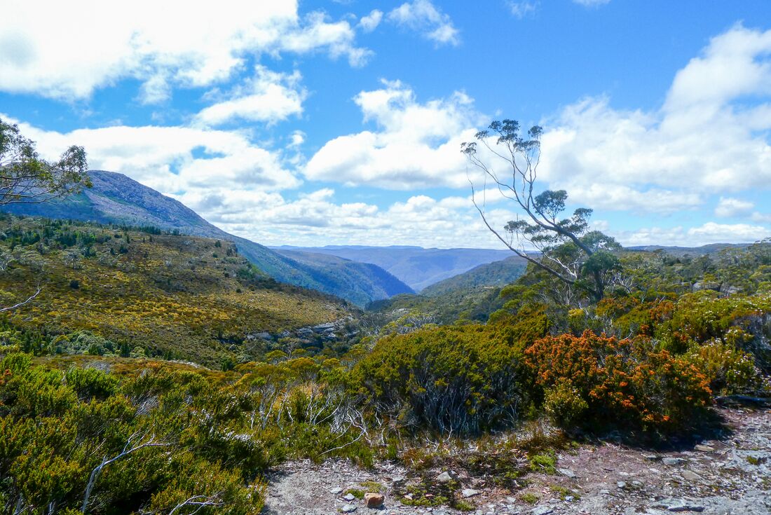 Gentle mist settled over the Cradle Mountain Track valley views in western Tasmania