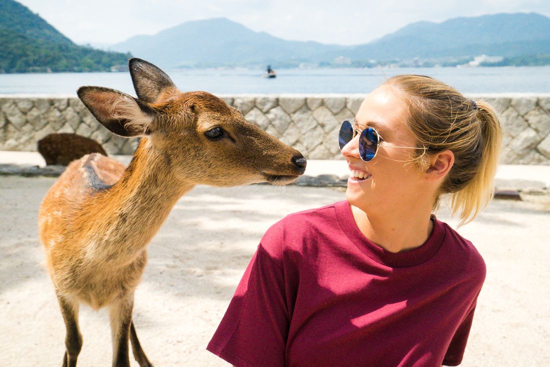 GCJO_japan_hiroshima_miyajima-island_deer_traveller