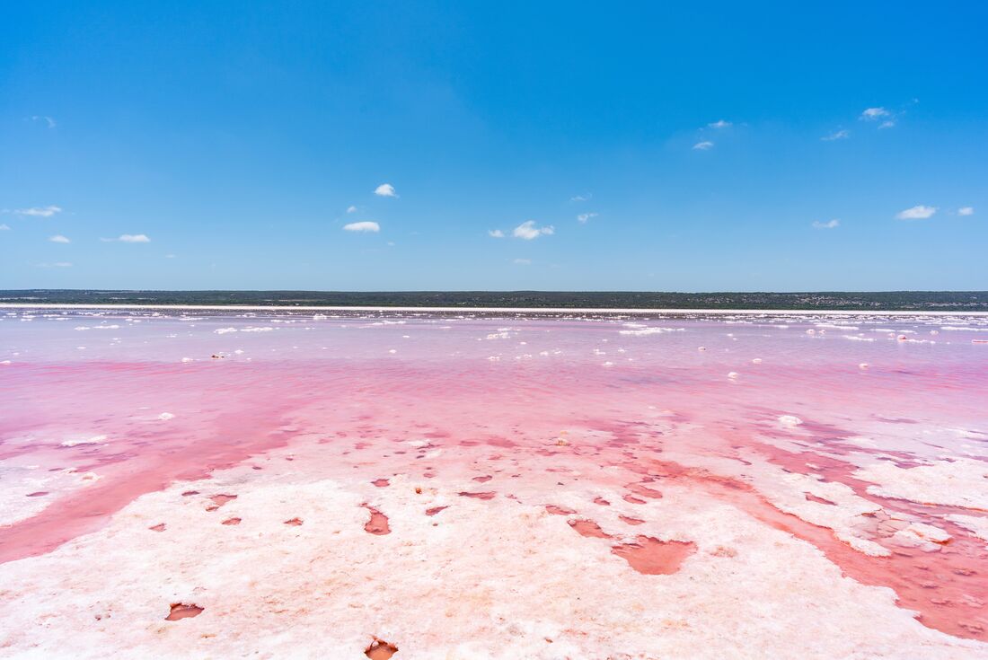 Western Australia's Pink Lake (Hutt Lagoon)