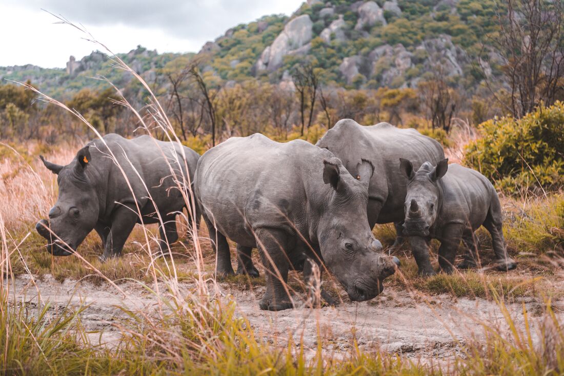 Matobos National Park