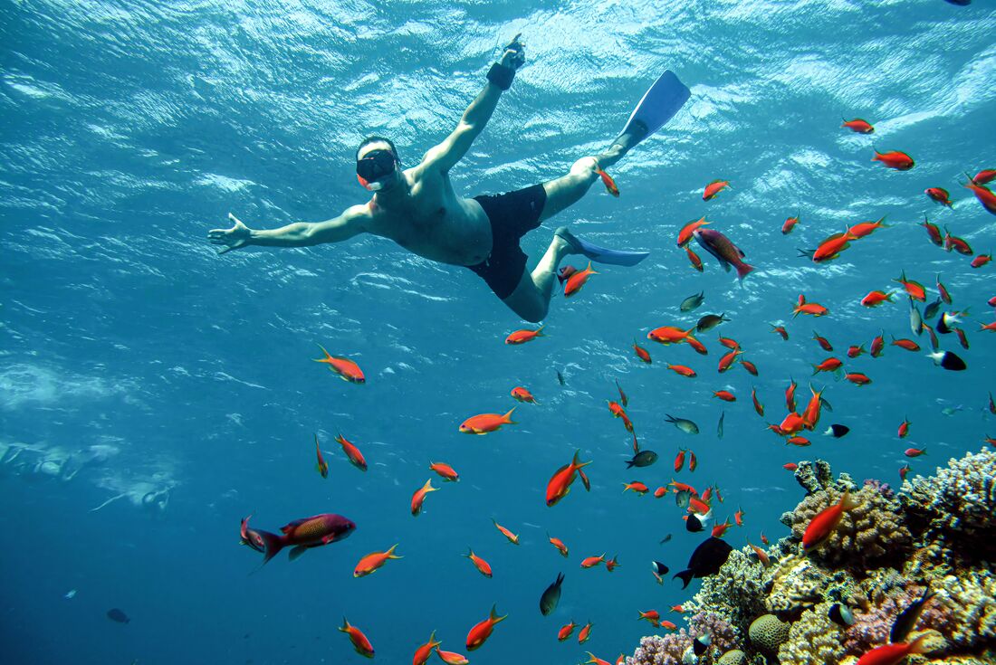 Traveller floats with fins and snroeklling gear in Red Sea with reef and fish in the foreground