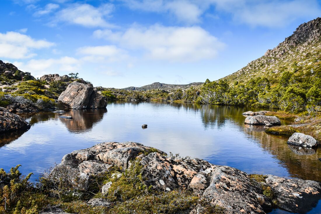 Johnston Tarn on the Tarn Shelf Circuit within Mt Field National Park in Tasmania, Australia