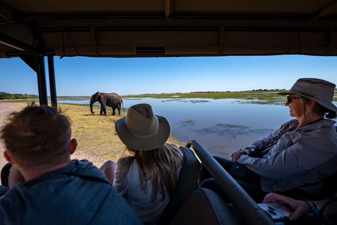 Travellers riding in a a vehicle while enjoying the view of an elephant at Chobe National Park, Botswana