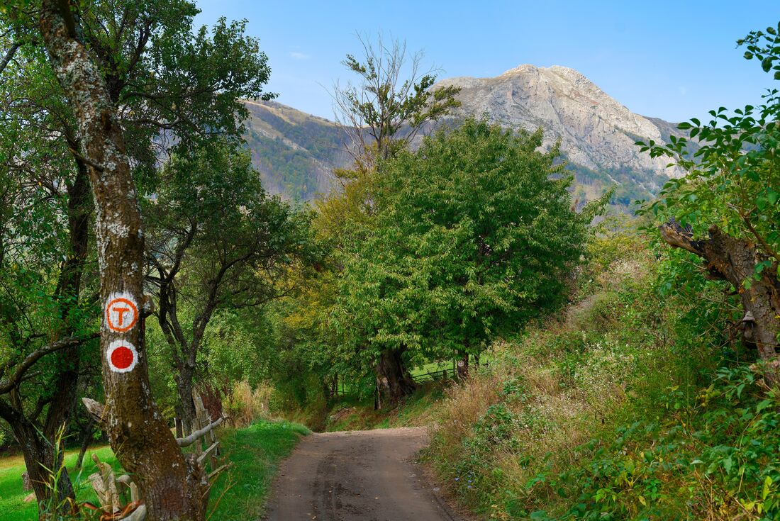 Transilvanica Trail painted T sign in the countryside of Romania