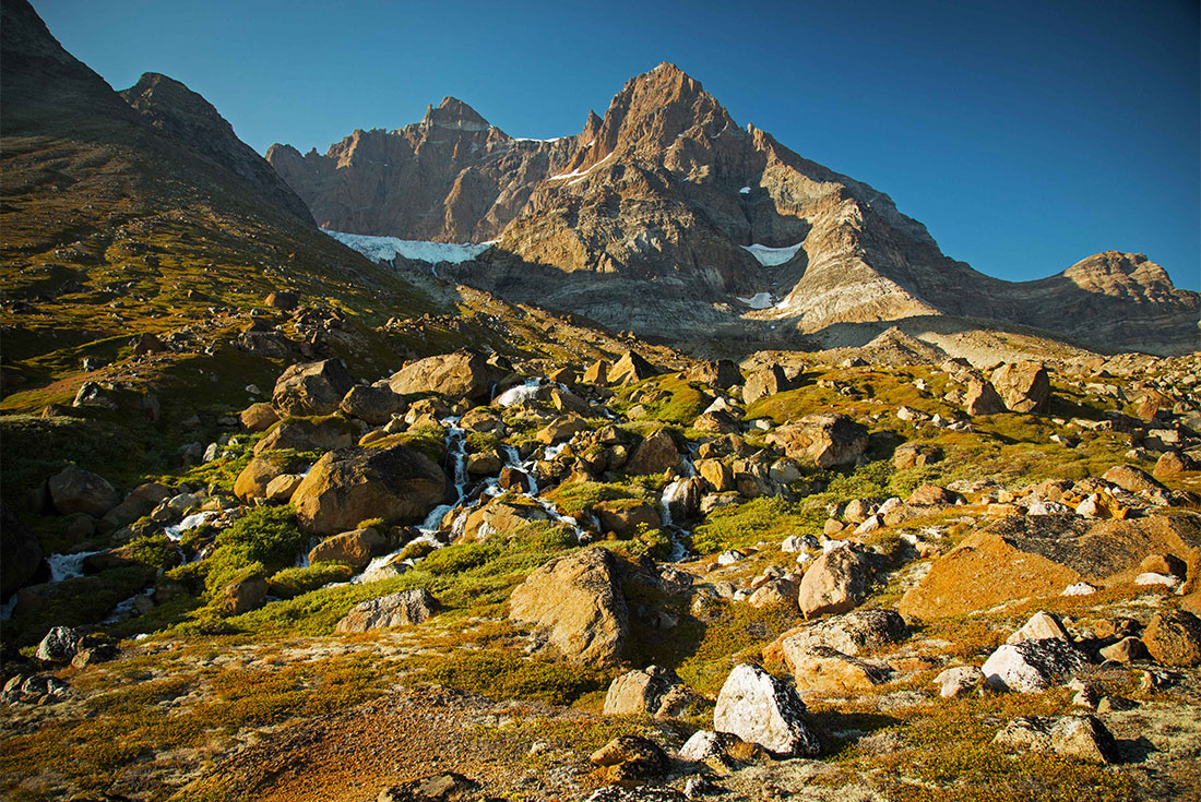 Landscape of greenery and soft streams at Lindenow Fjord